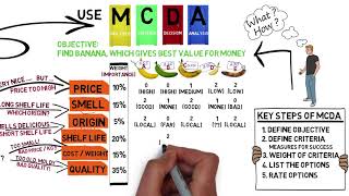 A Short Story about Multiple Criteria Decision Analysis MCDA [upl. by Asset825]