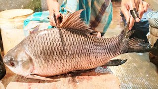 Fish Cutting Expert  Huge Rohu Fish Cutting amp Skinning Skills Live In Bangladesh [upl. by Giorgio756]