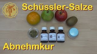 SchüsslerSalze Abnehmkur [upl. by Araccot]