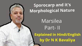 Sporocarp and its Morphological Nature of Marsilea by Dr N K Bavaliya Principal Govt Science College [upl. by Ainotna461]