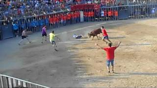 Fiestas Vacas Miami Playa  tarragona 2017 [upl. by Haelat]