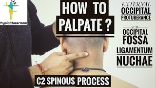 CERVICAL SPINE PALPATION  PART1 [upl. by Lustig163]