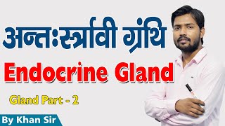 Endocrine Gland  अंत स्रावी ग्रंथि  Part  2  Khan GS Research Center [upl. by Hett]