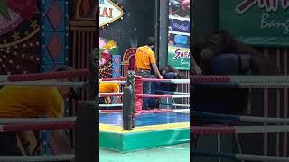 Orangutan Boxing Training in Thailand Please Read Description [upl. by Novyat]