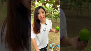 Amazing Fruit Farm  Beautiful Fresh Kiwi 🥝🥝 Harvesting with Rural Farmer shorts youtubeshorts [upl. by Nlocnil637]