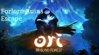 Ori and the Blind Forest Walkthrough  Forlorn Ruins Escape 12 [upl. by Allsun]