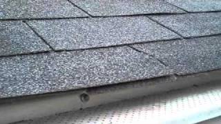 How water drains off a shingle [upl. by Macnamara900]