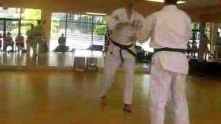 Uechi Ryu Yakusoku Kumite 110 [upl. by Jaddan]