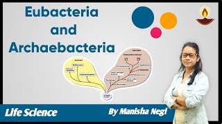 Difference between Eubacteria and Archaebacteria  Manisha Negi  avyan ias academy [upl. by Axe]