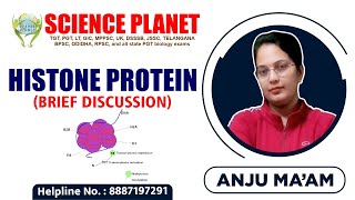 Histone Protein Brief Discussion Explain by Anju Mam of Science Planet [upl. by Naimad]