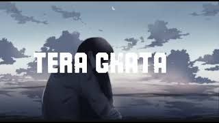 TERA GHATA SONG [upl. by Pepita]