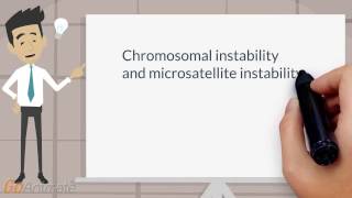 Chromosomal and microsatellite instability [upl. by Larrad]