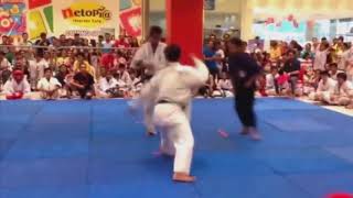 Kyokushin Karate VS Taekwondo  Brutal Knockout [upl. by Sillig]