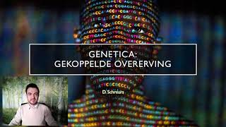 Genetica gekoppelde overerving [upl. by Koa]