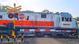 Alarm Cepat  2 Perlintasan Kereta Api  Palang ALKMAAR amp NIPPON [upl. by Weil]