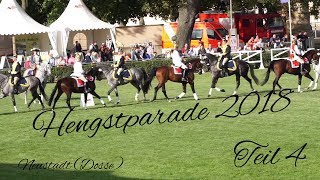 Hengstparade 2018 in Neustadt Dosse Teil 45 I Trick Riding Girls I Hengste [upl. by Minne771]