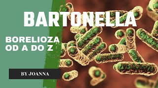 Bartonella z serii Borelioza od A do Z [upl. by Nirel402]