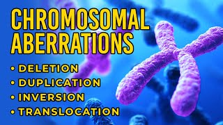 Chromosomal Aberrations  Deletion  Duplication  Inversion  Translocation [upl. by Anemaj]