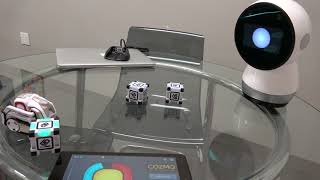 Jibo Meets Cozmo [upl. by Longerich]