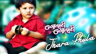 DDD  Jhara Phula  Odia Emotional Song  Film  Golapi Golapi  Amlan amp Riya  ODIA HD [upl. by Ihteerp]