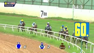 DHANTERAS THE CHAMPION TRAINER CUP DIVI100 [upl. by Casaleggio]