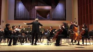 Sinfonia from Cantata 29 Partita No 3 in E Major  Bach [upl. by Minerva851]