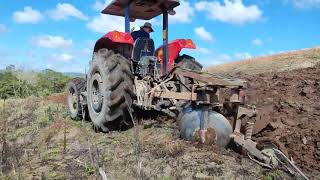 TRATOR MASSEY 4275 COM ARADO DE 3 DISCOS [upl. by Trey868]