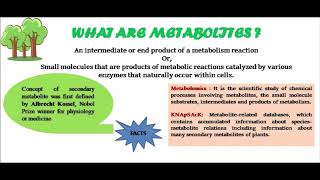 Plant Secondary Metabolites Introduction [upl. by Angil826]