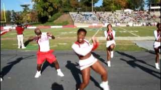 2012 WSSU Cheerleaders Its called Survival [upl. by Januarius]