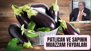 PATLICANIN FAYDALARI NELERDİRPATLICAN SAPI FAYDALARIKÖZ PATLICAN FAYDALARIPATLICANIN ZARARLARI [upl. by Latsryc]