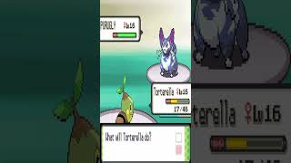 I REALLY Hate Purugly pokemonpearl purugly [upl. by Hooker128]