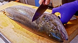 Amazing！Salmon Cutting Skills Salmon Roe Rice Luxurious Sashimi鮭魚切割技能 鮭魚卵丼飯 炙燒握壽司製作 [upl. by Scarface596]