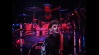 Stiff Little Fingers  Fly the Flag Live [upl. by Tnaryb382]