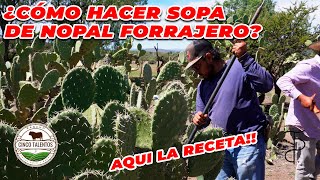 ¿COMO HACER SOPA DE NOPAL FORRAJERO  Rancho Cinco Talentos  Zacatecas [upl. by Eerok670]