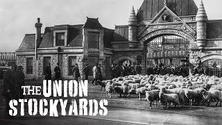 The Union Stockyards — A Chicago Stories Documentary [upl. by Rhines]