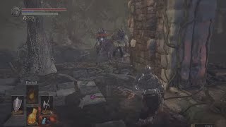 Dark Souls 3 Souls Farming Farron Keep [upl. by Avon713]