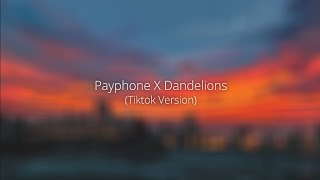 payphone x dandelions tiktok version [upl. by Muryh]