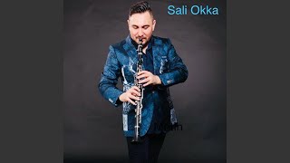 SALI OKKA LIVE TALLAVA Live [upl. by Liagibba]