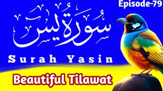 Surah YasinYaseen  Ep79  Beautiful recitation  Surah Yaseen Ki Tilawat  Yasin Sharif [upl. by Eissolf653]