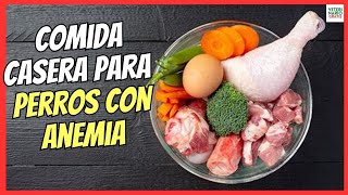 🐶 COMIDA CASERA PARA PERROS CON ANEMIA 🐶 ALIMENTOS CON MÁS HIERRO Y VITAMINA C [upl. by De]