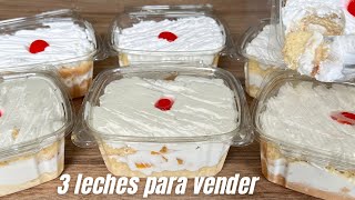 MINI PASTEL 3 LECHES PARA VENTA  VENDE TUS POSTRES CON 14 DE PLANCHA  POSTRES CON IXCHEL [upl. by Derdle]