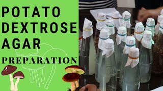 Mushroom Production Potato Dextrose Agar Preparation  PDA [upl. by Rhee589]