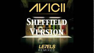 Avicii  Levels Skrillex Remix Sheffield Version [upl. by Rojam]