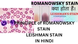 Romanowsky stain in hindi । Leishman stain । haematology । dmlt । principleof romanowsky stain [upl. by Aihsaei]