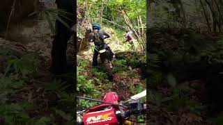 Green Moss enduro offroad dirtbike hardenduro [upl. by Clemens]