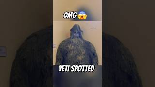 Yeti spotted 😱😱😱 amazingfacts interestingfacts knowledge yeti bigfoot [upl. by Ellinger397]