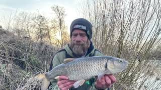 River Wye Chub fishing [upl. by Ena]