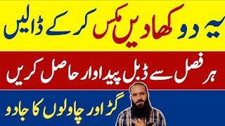 Organic Fertilizer  jaivik khad  ڈی اے پی کھاد  जैविक खाद ATCOrganic [upl. by Knitter]