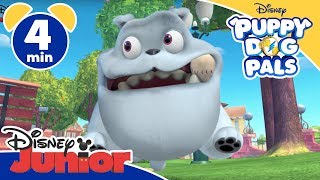 Puppy Dog Pals  La partita  Disney Junior Italia [upl. by Enutrof]