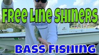 Florida Big Bass Fishing with Free Line Shiners [upl. by Calv992]